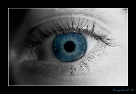 the eyes